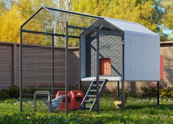 ကြက်တွေအတွက် Smart Home ဖန်တီးလိုက်တဲ့ Coop Tech Company